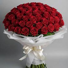 Букет 101 Красная роза Блэк Мэджик в Городище Пензенской области