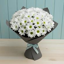 Букет цветов из:  Хризантемы в Городище Пензенской области