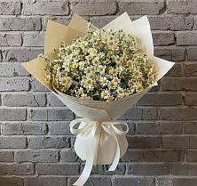 Букет цветов из:  Ромашки #REPLACE_PRED# Городище Пензенской области