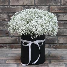 Цветочная композиция из Гипсофила в шляпной коробке #REPLACE_PRED# Городище Пензенской области