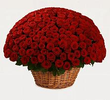 Премиум букет из: Розы в Городище Пензенской области